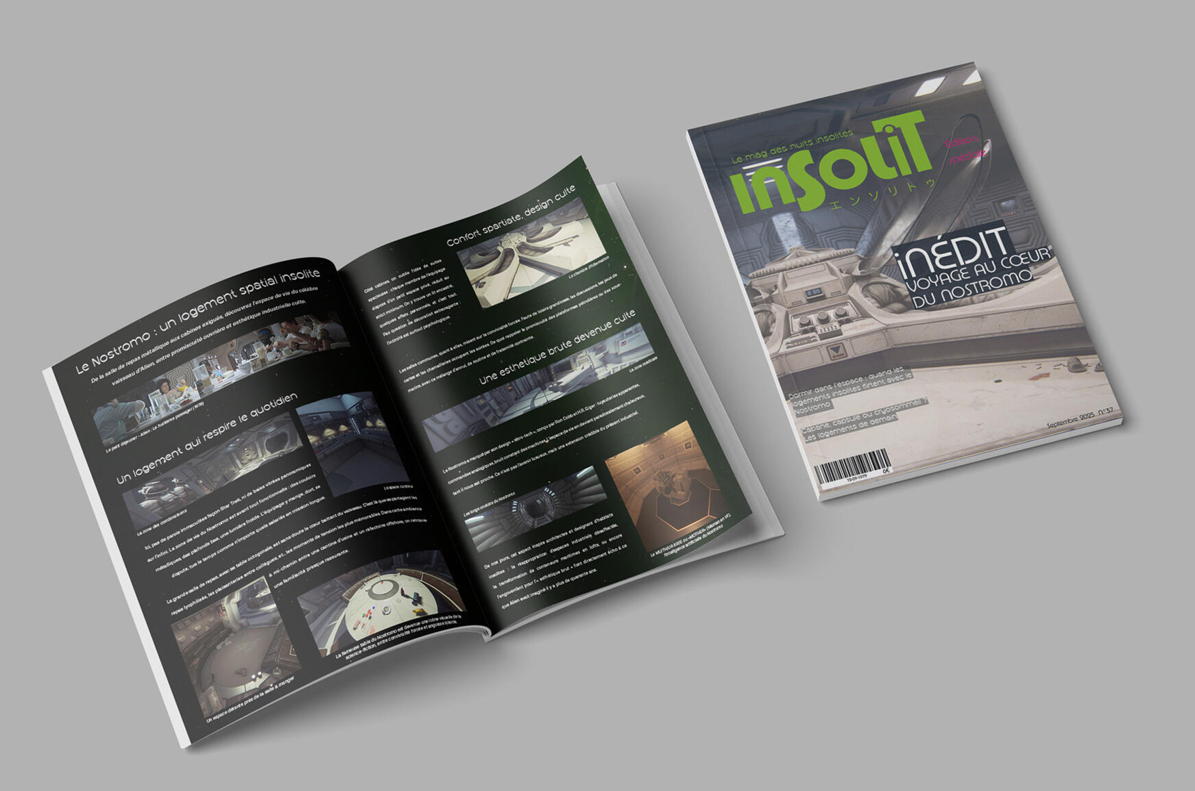 Mockup magazine Insolit